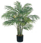 3'' Areca Silk Palm Tree