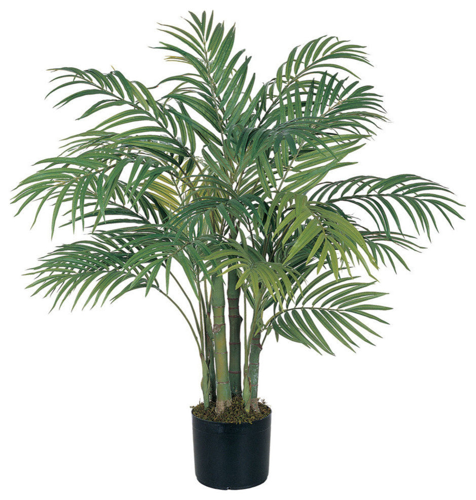 3'' Areca Silk Palm Tree