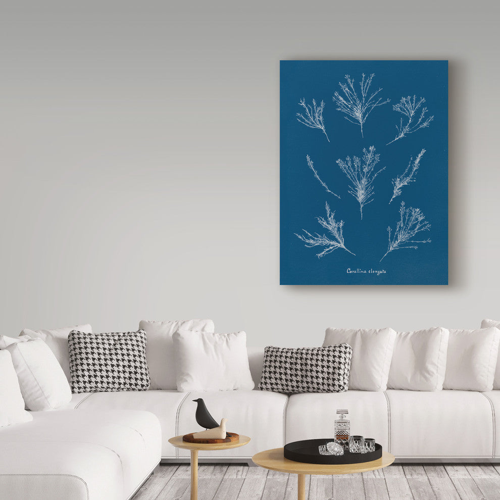 Wild Apple Portfolio 'Delicate Coral I' Canvas Art, 24"x18"