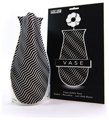 Modgy Expandable Flower Vase Giza
