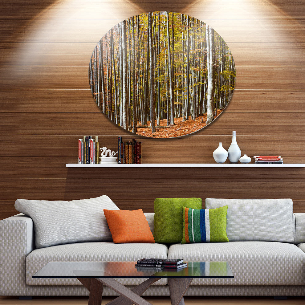 Bright Day In Thick Forest, Modern Forest Round Metal Wall Art, 11"