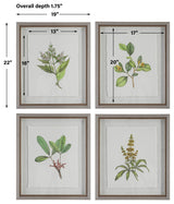 Uttermost Wildflower Study Framed prints, 4-Piece Set