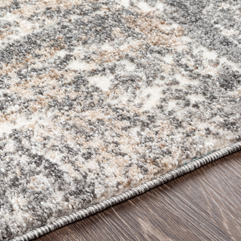 Andorra ARD-2302 Rug, Charcoal, 5'3"x7'3"