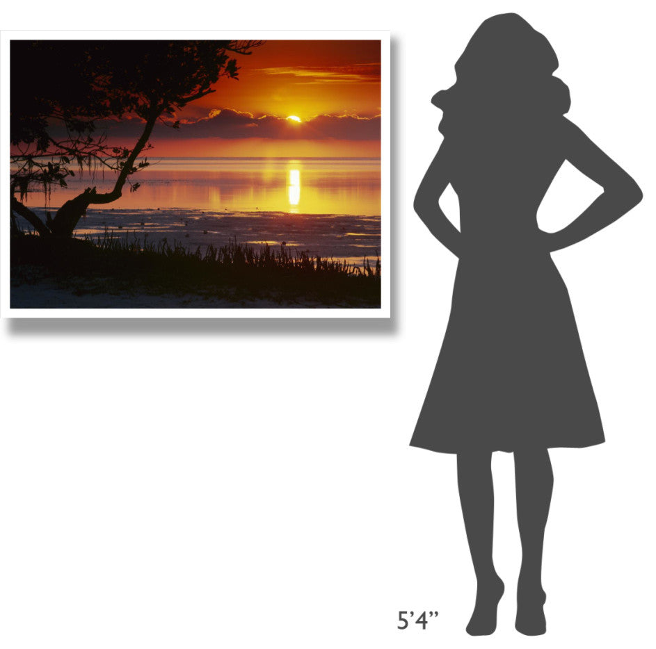 "Sunset over Anne's Beach, Florida" Paper Print by Tim Fitzharris, 42"x32"