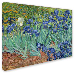 Vincent van Gogh 'Irises 1889' Canvas Art, 47x35