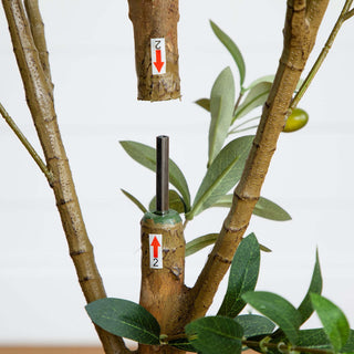 Close-up trunk with assembly-like indicators (instructional).