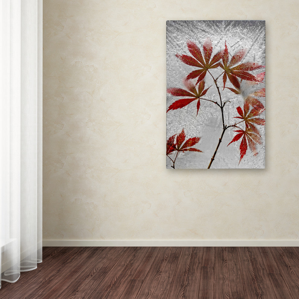 Secundino Losada 'Red Maple' Canvas Art, 16x24