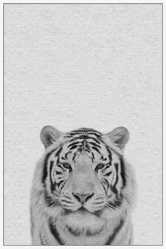 "Tamed Tiger II" Floater Framed Painting Print on Canvas, 16"x24"