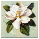 Tina Lavoie 'Nouveau Botanica' Canvas Art, 14" x 14"