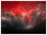 'Hot and Cold' Canvas Art by Philippe Sainte-Laudy