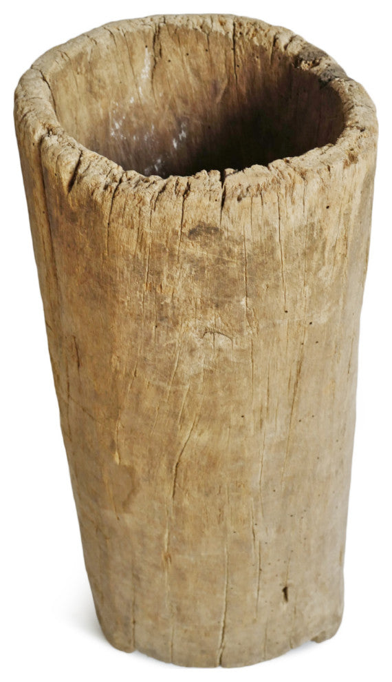 Consigned Naga Wood Trunk Pot