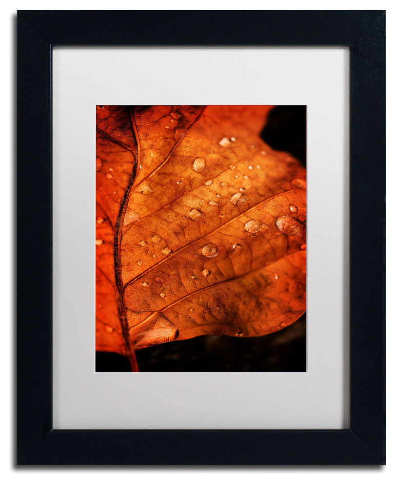 ''Autumn Droplets'' Matted Framed Canvas Art by Philippe Sainte-Laudy