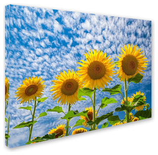 Michael Blanchette Photography 'The Four Sisters' Canvas Art, 32"x24"