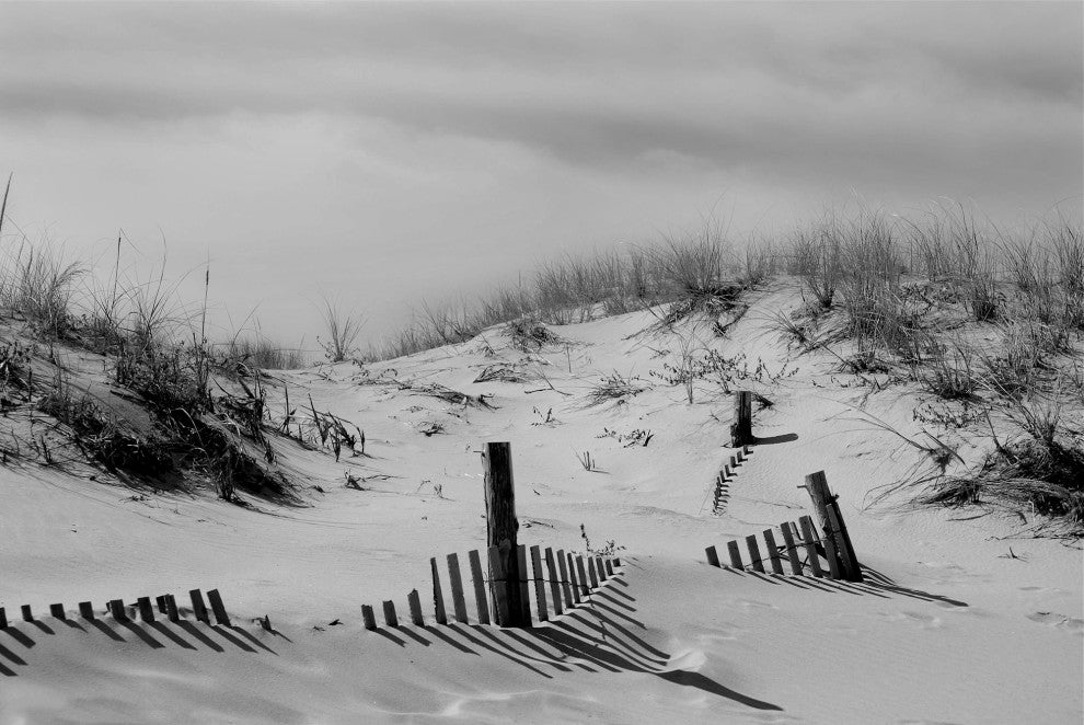 Buried Fences Landscape Photo, Black & White Unframed Wall Art Print, 18" X 24"