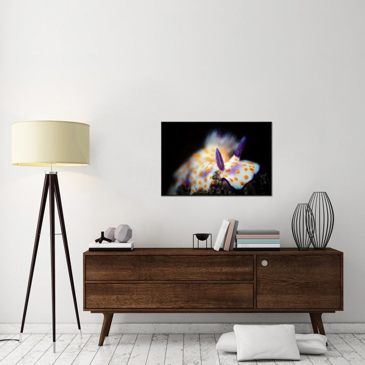 Nudibranche, 36"x24"