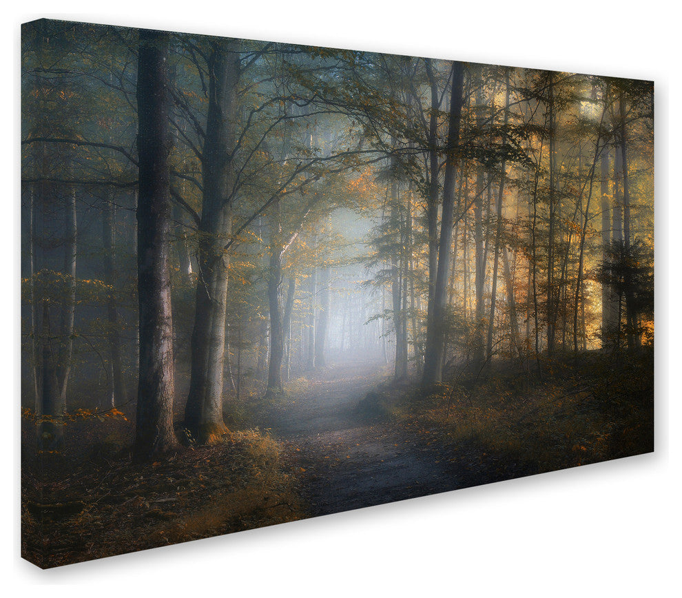 Norbert Maier 'Autumn Symphony' Canvas Art, 24x16