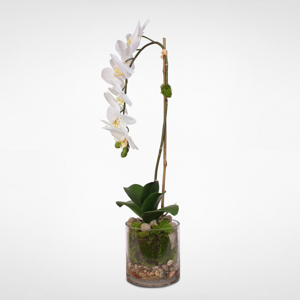 Real Touch White Phalaenopsis Orchid With Sleek Glass Vase