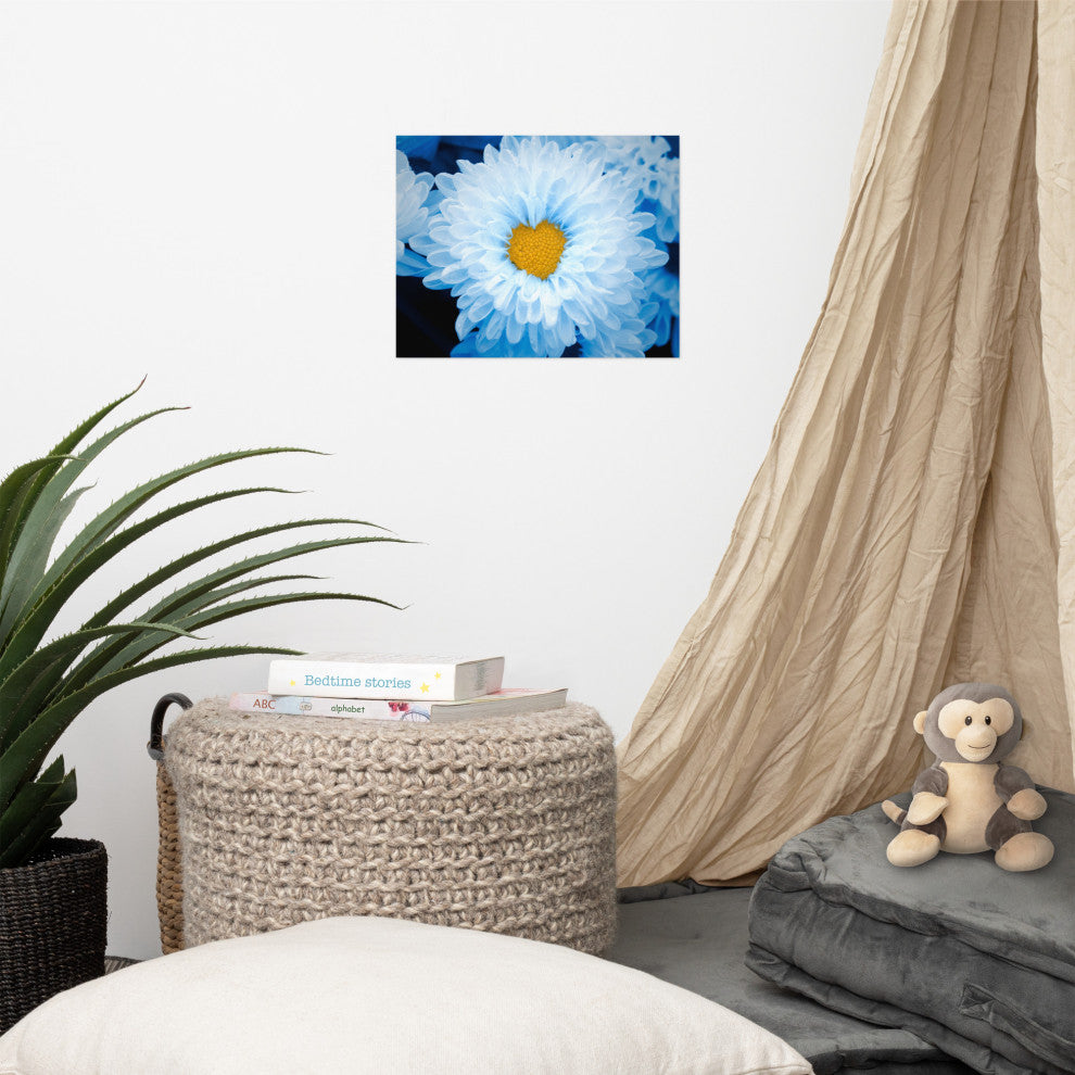 Blue Tinted Chrysanthemums Floral Nature Photo Loose Wall Art Print, 11" X 14"
