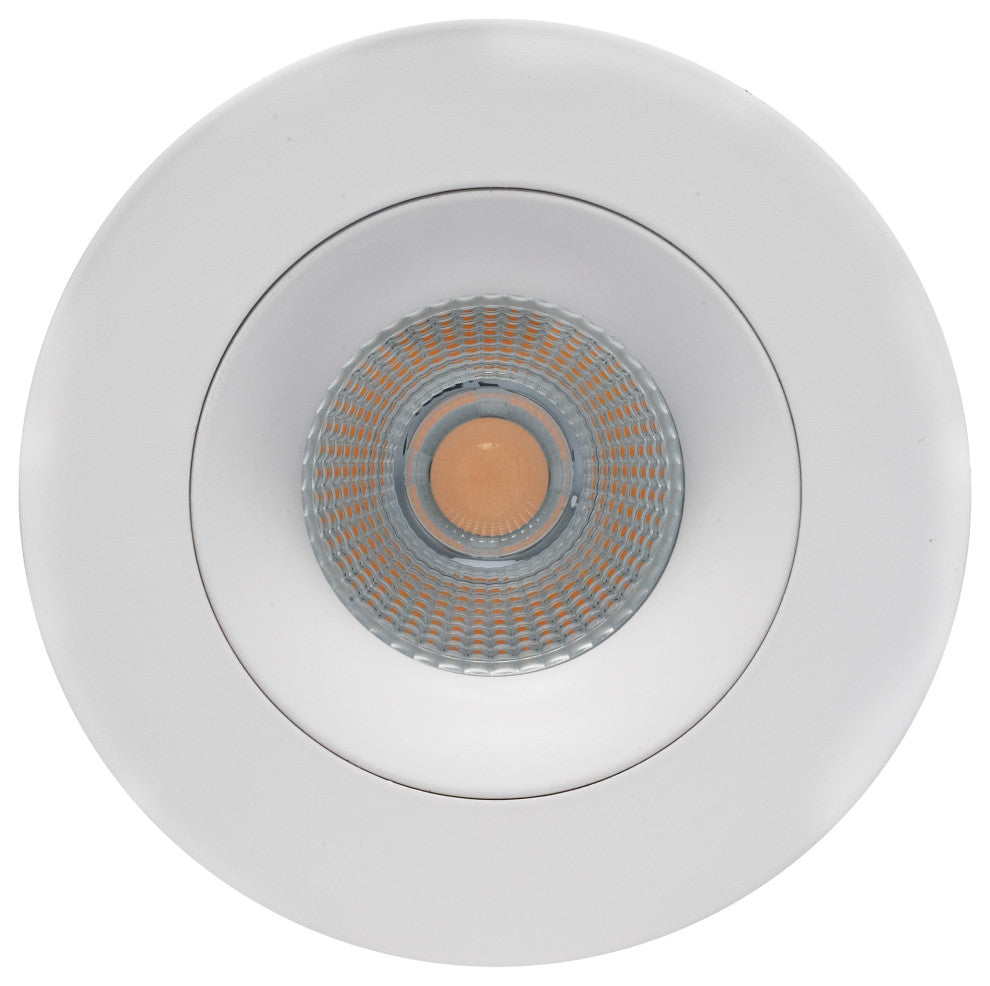 12 Watt LED Downlight - Gimbaled - 3.5 in. - 120 Volt - Round - Remote Driver