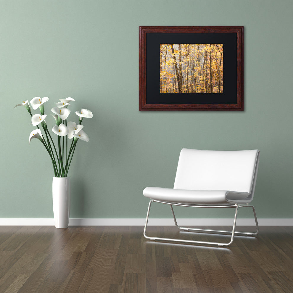 Jason Shaffer ''Autumn Treeline 2'', Wood Frame, Black Mat, 20x16