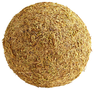 Cyan Design Extra Large St. Augustine Filler