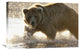 "Grizzly Bear Foraging For Salmon, Katmai National Park, Alaska" Artwork