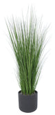 Grass in Black Wash Pot