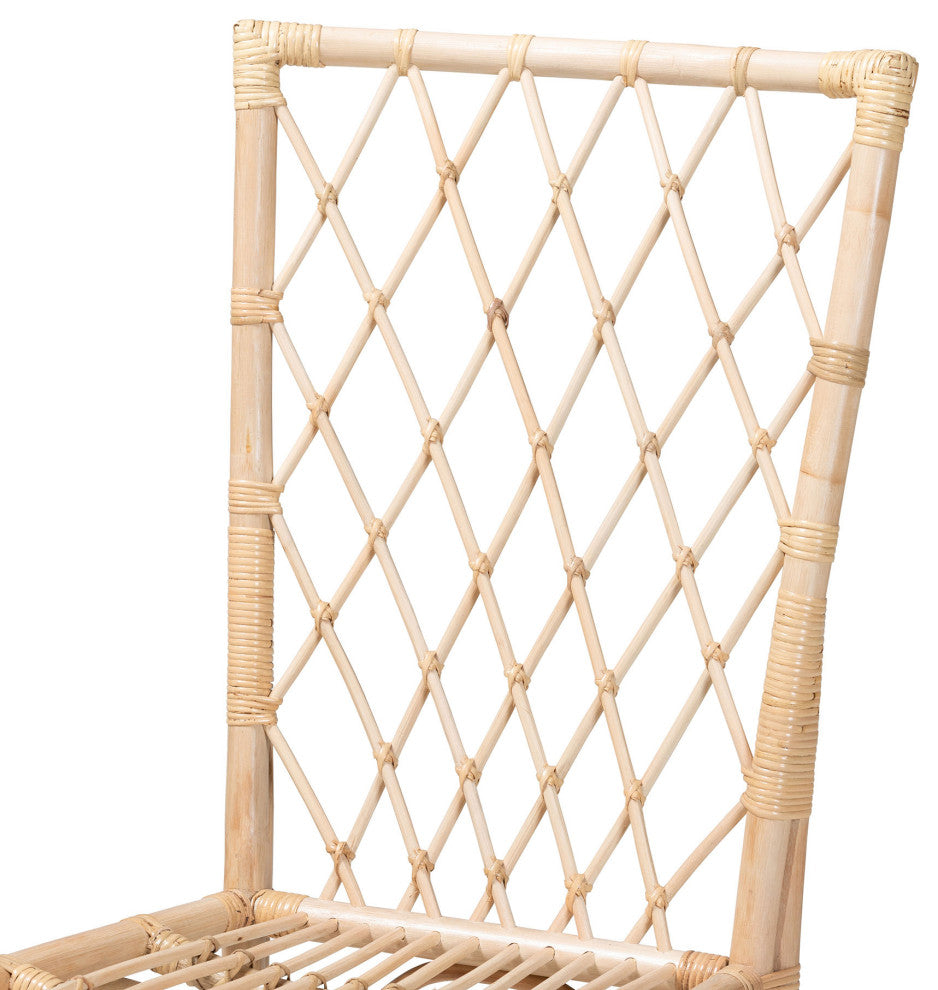 Doria Modern Bohemian Natural Brown Rattan 2-Piece Dining Chair Set