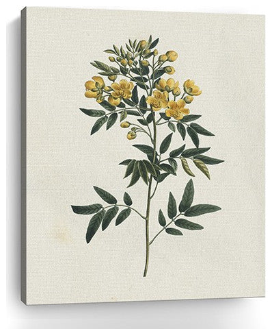 30" Singular Yellow Blossom Branch Canvas Wall Art