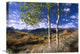 "Aspen Trees On Elk Mountains, Capitol Creek Trailhead, Colorado" Artwork