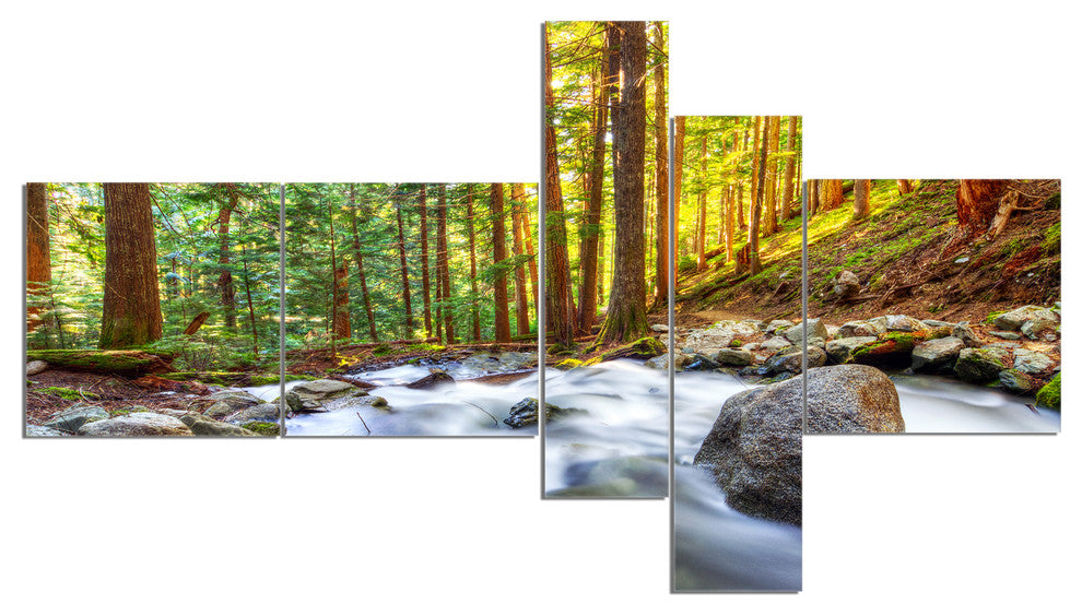 Creek Flowing Through Forest, Landscape Canvas Art Print, 60"x32", 5 panels