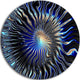 Blue Rays From The Circle, Abstract Art Large Disc Metal Wall Art, 23"