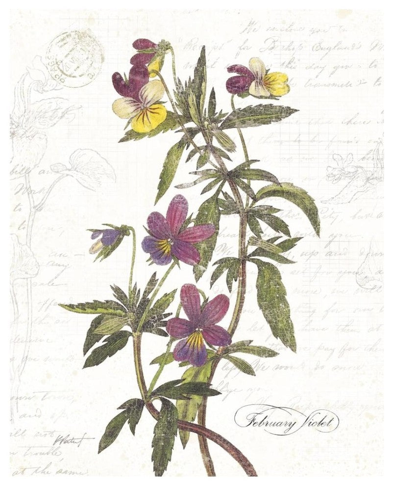 "February Violet on White" Digital Paper Print by Katie Pertiet, 30"x37"