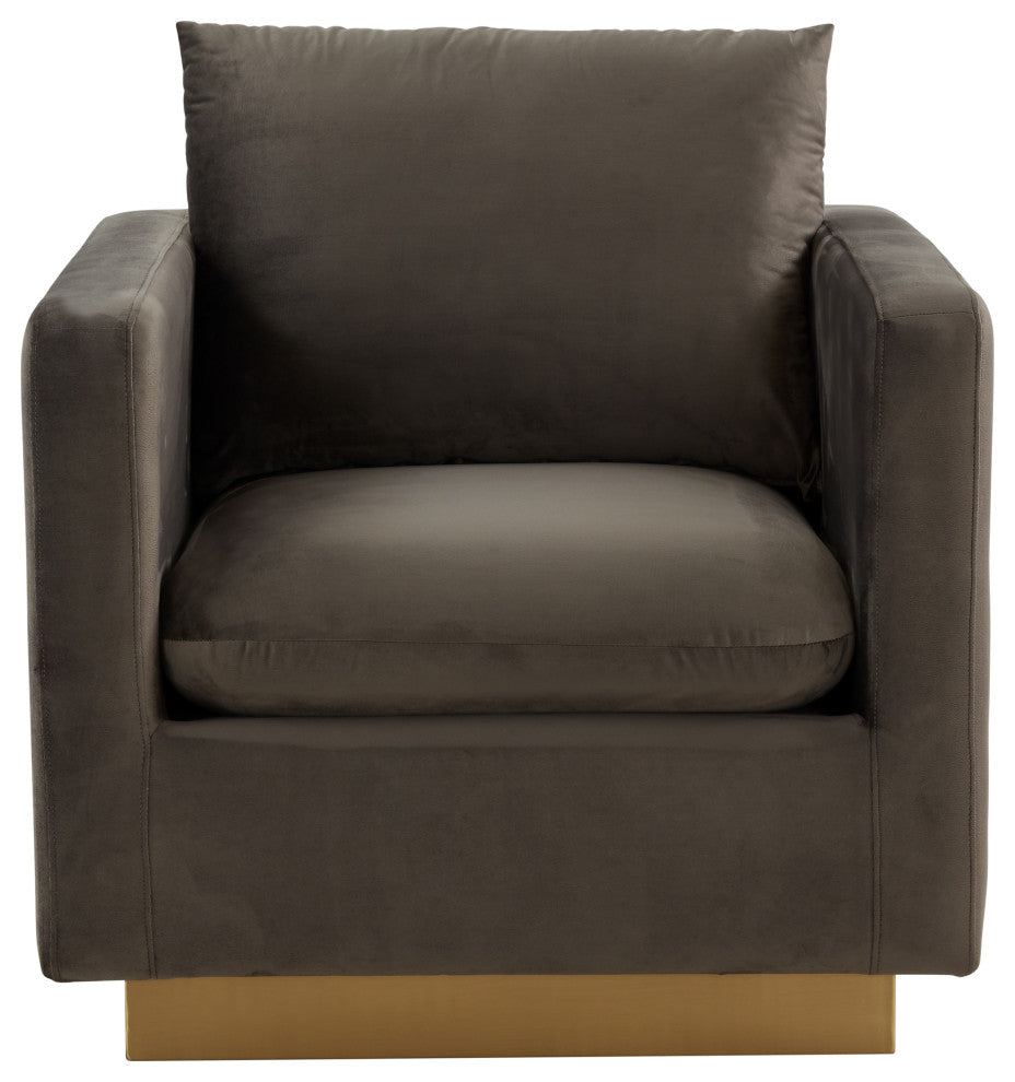 LeisureMod NS32DGR Nervo Dark Grey Velvet Accent Armchair With Gold Frame