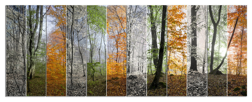 Wood Panorama Changing Seasons, Landscape Canvas Art Print, 70"x28", 6 Panels