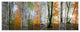 Wood Panorama Changing Seasons, Landscape Canvas Art Print, 70"x28", 6 Panels