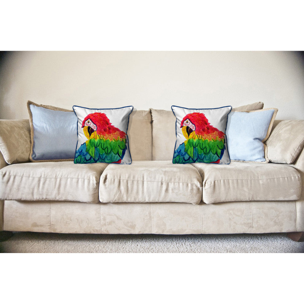 Parrot Head Large Indoor/Outdoor Pillow  18x18