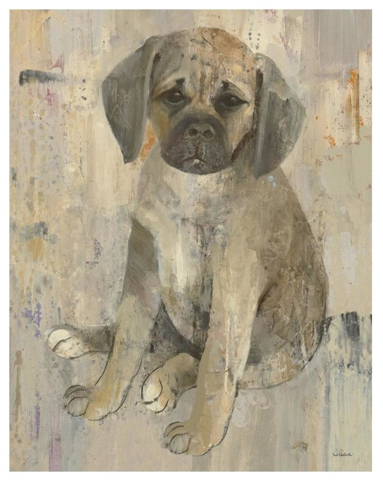 "Paco v2" Digital Paper Print by Albena Hristova, 30"x37"