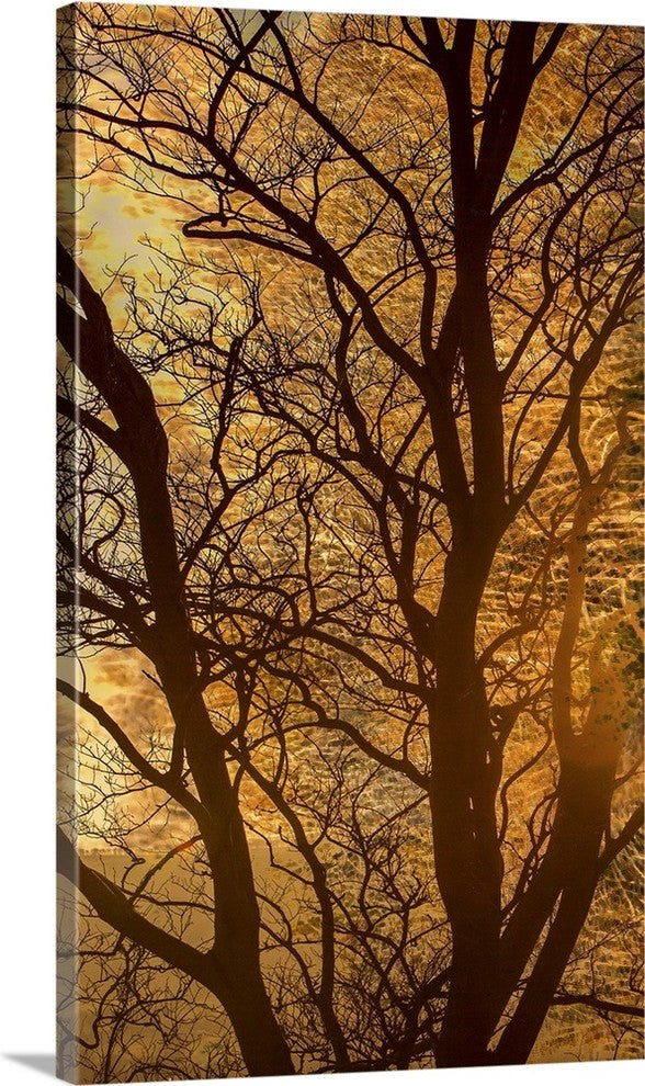 "Tangled in Gold" Wrapped Canvas Art Print, 22"x36"x1.5"