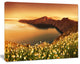 Sunrise Wildflowers on Santorini, Floral Canvas Art Print, 40"x30"