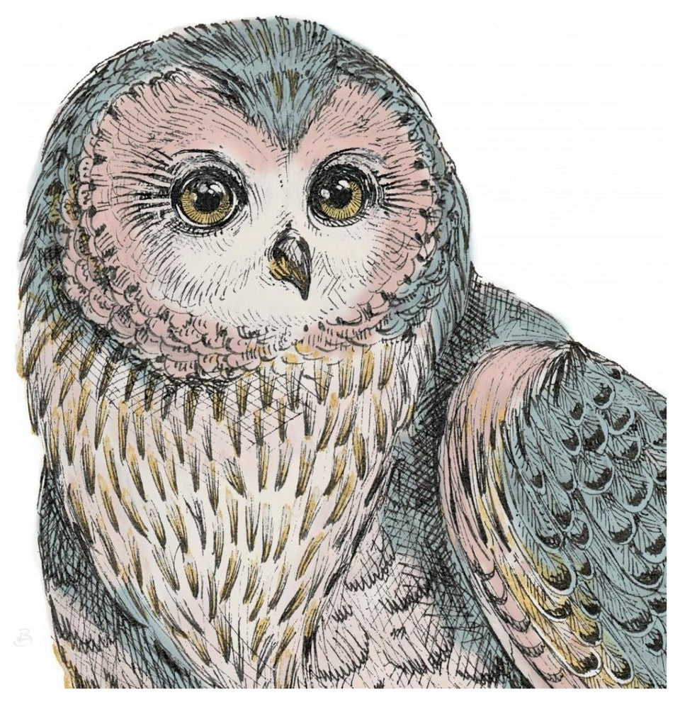 "Beautiful Owls IV Pastel Crop" Paper Print by Daphne Brissonnet, 38"x38"