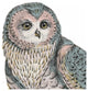 "Beautiful Owls IV Pastel Crop" Paper Print by Daphne Brissonnet, 38"x38"
