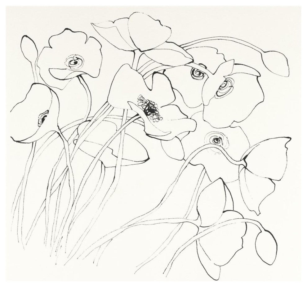 "Black Line Poppies II" Digital Paper Print by Shirley Novak, 38"x38"