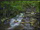 Little Stony Creek Flowing Through Jefferson National Forest, Virginia, 32"x24"