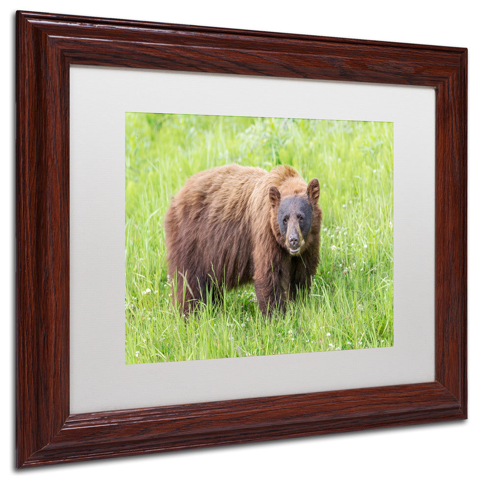 Pierre Leclerc 'Cinnamon Bear' Matted Framed Art, Wood Frame, White, 14x11