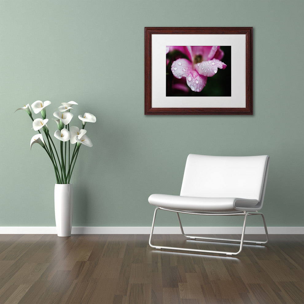 PIPA Fine Art 'Raindrops on Wild Rose Color' Matted Framed Art, 20x16