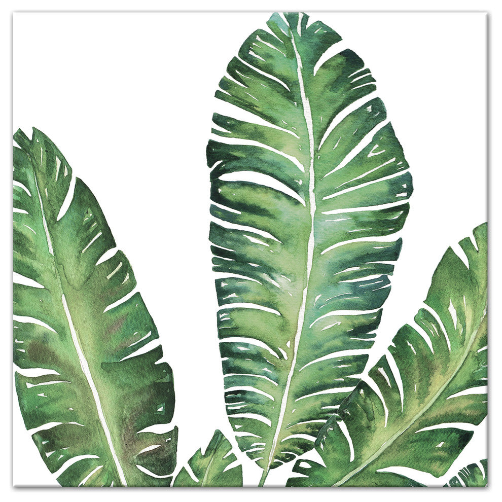 Banana Leaves 20x20 Canvas Wall Art