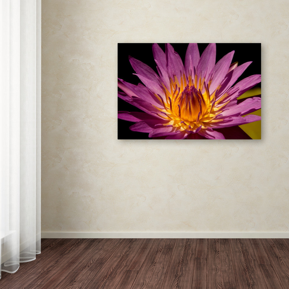Mike Jones Photo 'Fairchild Gardens Lily' Canvas Art, 30x47