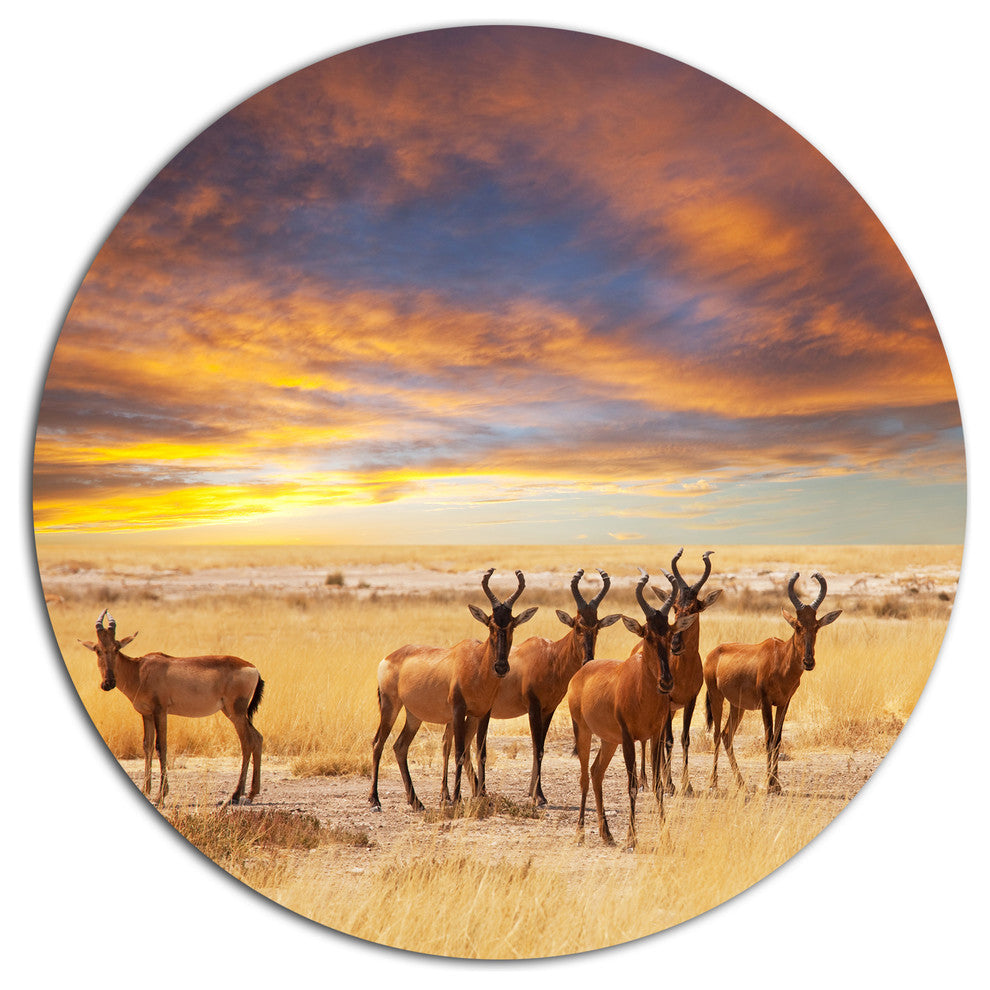 Herd Of Antelope In Etosha Park, African Landscape Round Wall Art, 23"