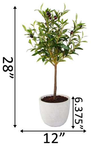 Overlay shows measurements (28"" height, 12"" width) making it a dimensional/instructional diagram.
